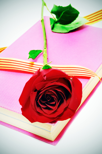 by Shutterstock Images