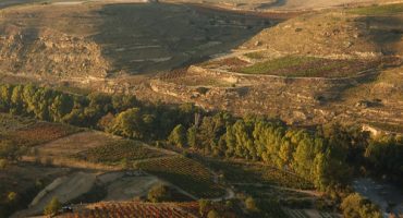 Rioja: A Wine Route