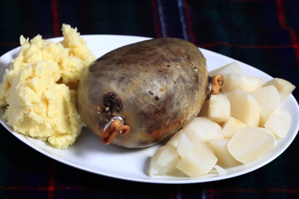 haggis scottish haggis