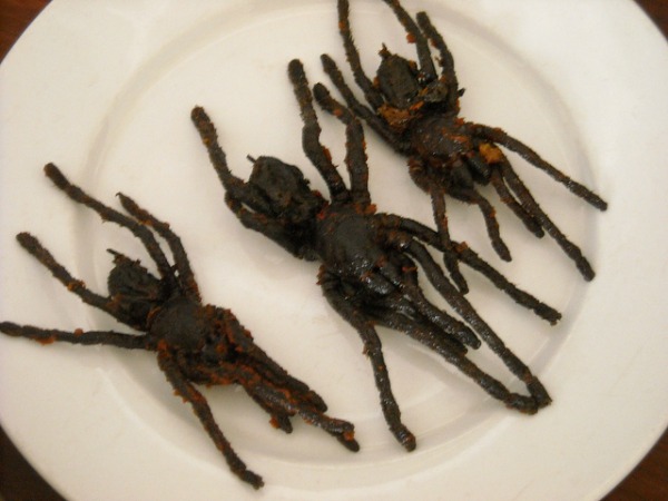fried tarantulas
