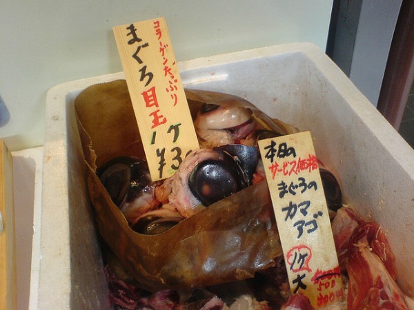 tuna eyeball