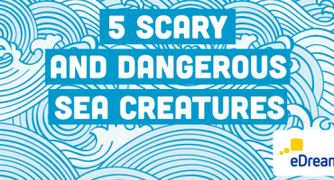 5 Dangerous Marine Animals: Prevention and Remedies