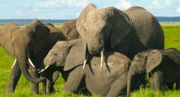 5 Tips to Practice Responsible Tourism