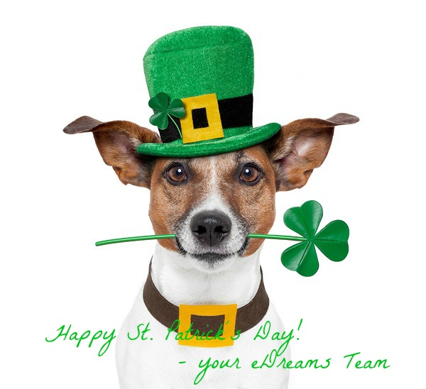 st. patrick's day dog with a clover