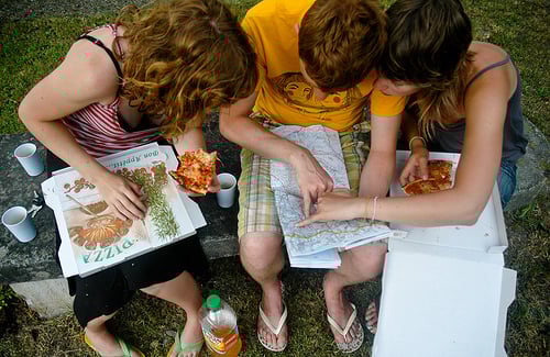 traveling with pets route