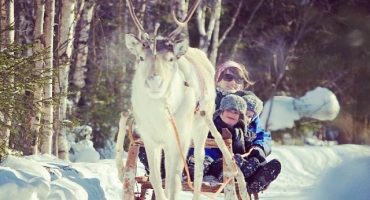 20 things to do at the Santa Claus Village in Rovaniemi