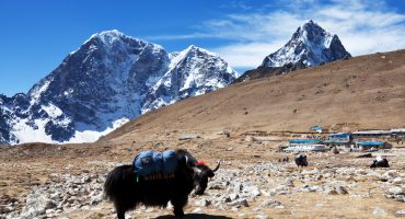 Responsible Tourism in the Himalayas