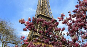 A Trip to Paris: Interactive Map