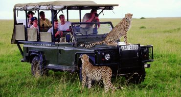 Why You Need To Go On Adventure Holidays