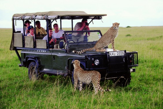 An African Safari Tour