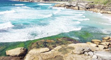 25 things to do in Sydney