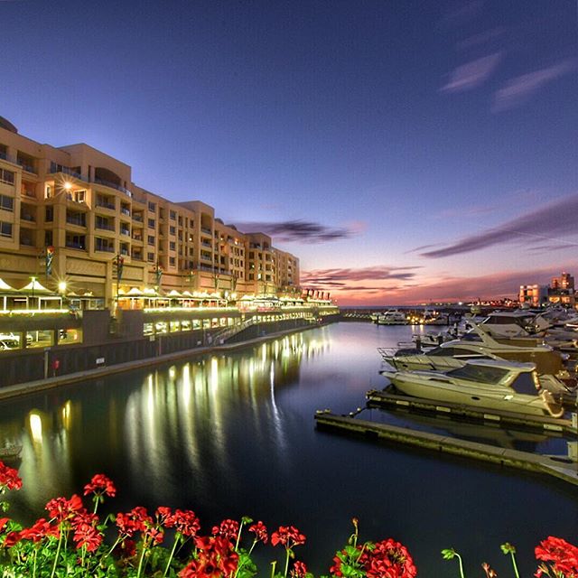 Photo by focus.click via Instagram