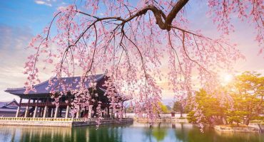 20 of the Most Beautiful Places to Visit in Spring