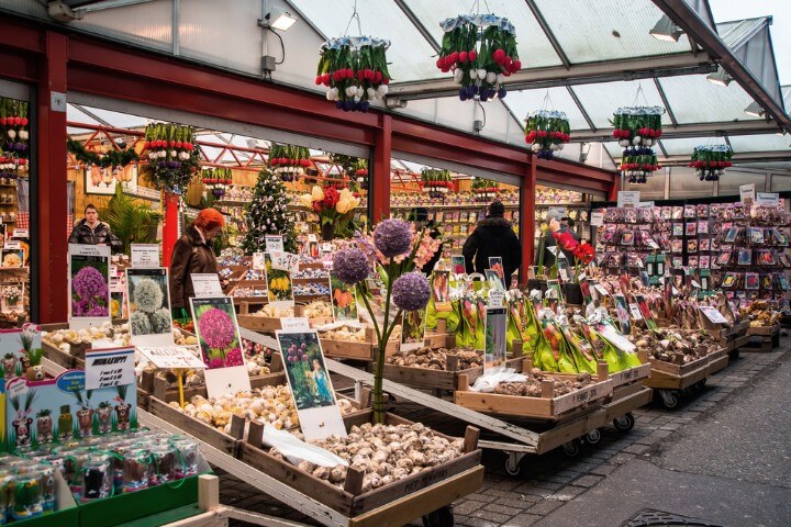 bloemenmarkt - flower market in amsterdam