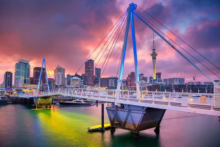 auckland bridge view