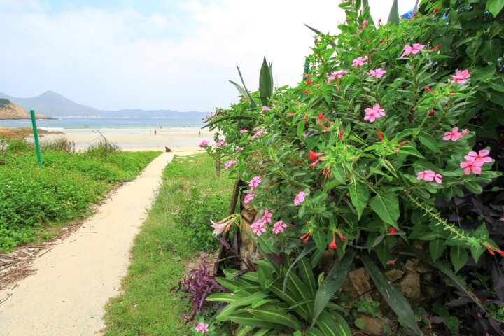 Maclehose Trail hong kong