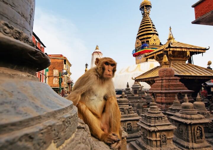 Swayambhu - the famous Monkey Temple in nepal