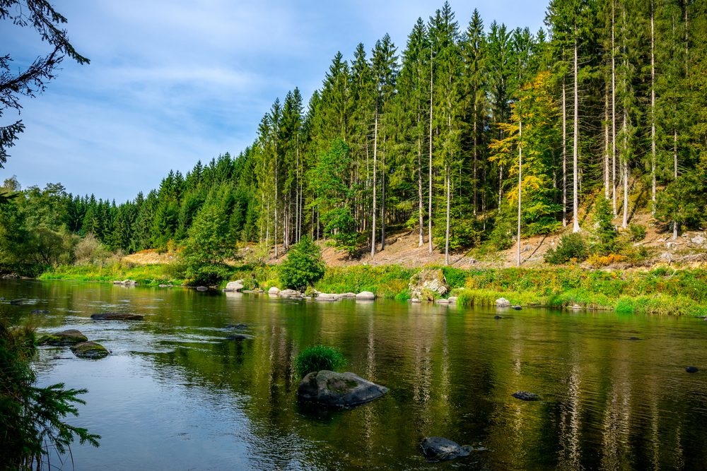 River in the Bohemian Forest
