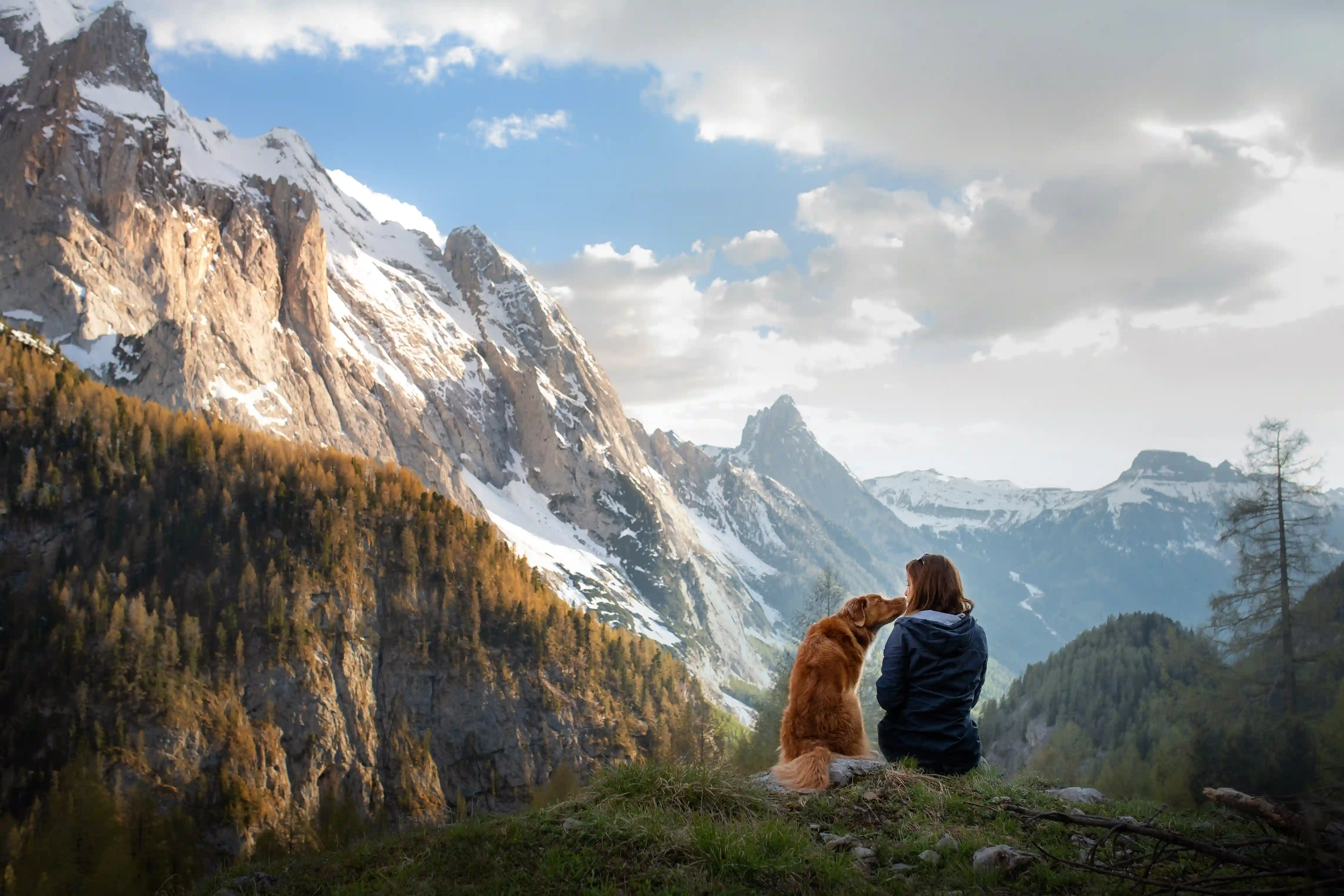 Traveling with pets | Size limits and rules | eDreams